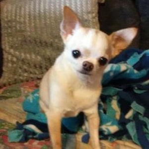 Meet your Posher, Rae